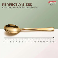 Montavo by FnS Stainless Steel Dinner Spoons | Set of 12 PVD Gold Mirror Finish