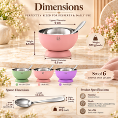 FnS Mellora 6-Pc Multicolour Stainless Steel Dessert Bowl & Spoon Set