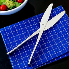 FnS Slimline Stainless Steel Dinner/Butter Knife Set of 2 for Home and Kitchen