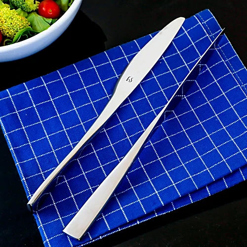 FnS Slimline Stainless Steel Dinner/Butter Knife Set of 2 for Home and Kitchen