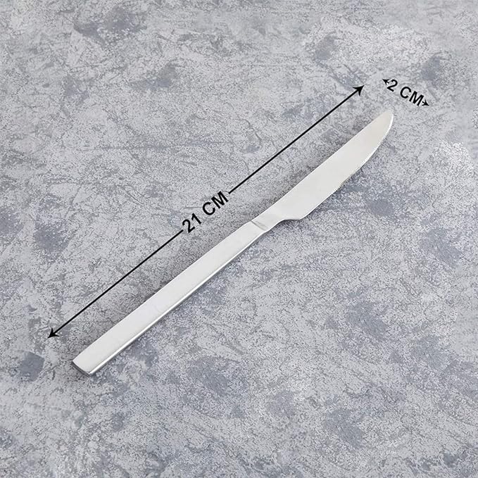 FnS Food Grade Stainless Steel Venice 2 Pcs Dinner Knife Set