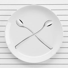 FnS Slim Line 6 Pcs Long Drink Spoon