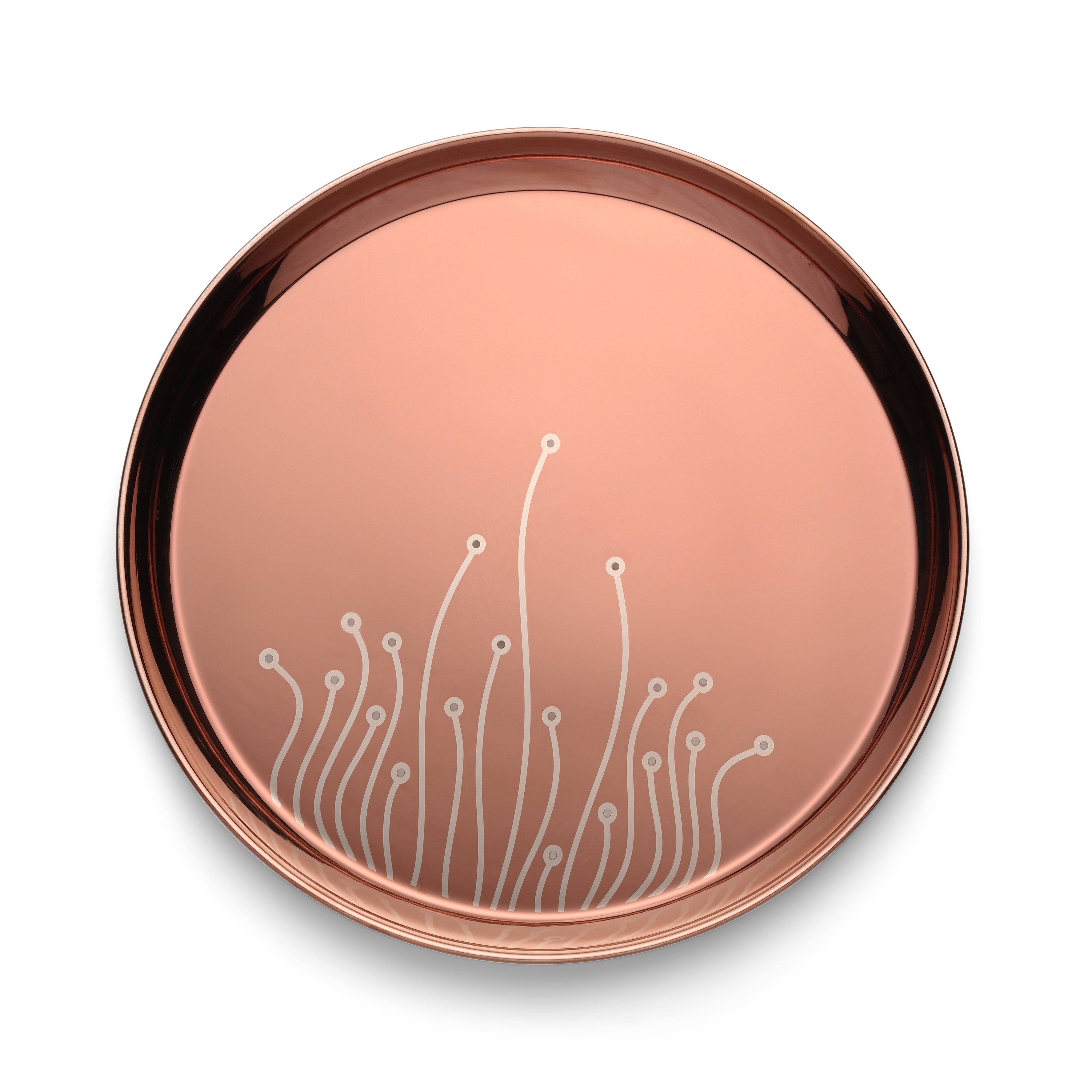 FnS Leheren Stainless Steel Rose Gold 5 pcs Dinner Thali set