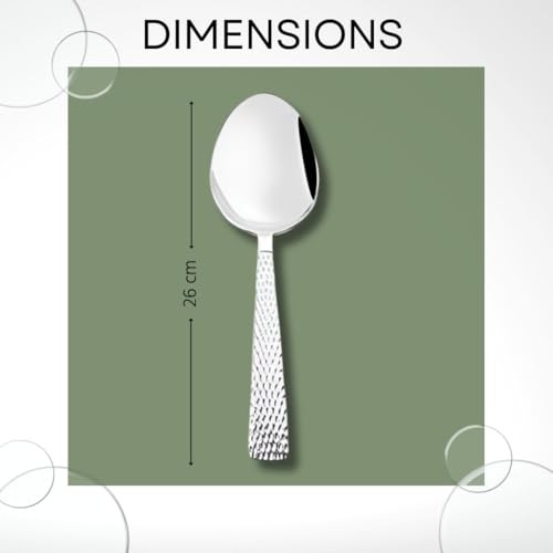 FnS Madrid 1 Pc Stainless Steel Small Serving Spoon