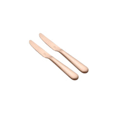 FnS Rosella Rose Gold Stainless Steel Dinner/Butter Knife Set of 2, for Home, Kitchen and Dinning