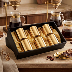FnS Stainless Steel Double Wall Coffee Mug Set of 6 in gold finish displayed in a premium gift box with coffee brewing setup.
