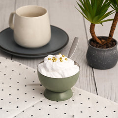 FNS Mellora Multi Color Dessert Bowl Set of 6 Bowl & Spoon for Ice Cream