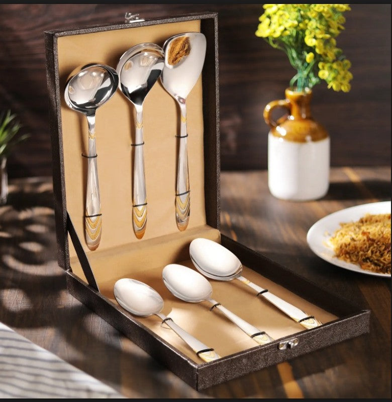 FNS Magna Pro 6 pcs serving Spoon set with Leatherite Box