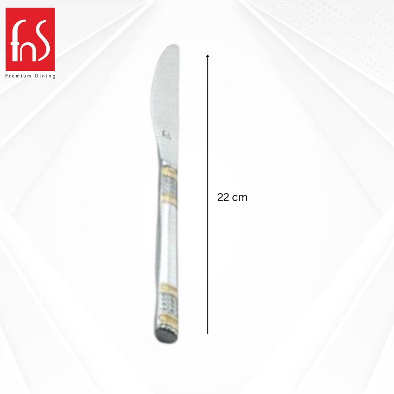 Single FnS stainless steel dinner knife measuring 22 centimeters in length, shown vertically with decorative banded handle against white background.