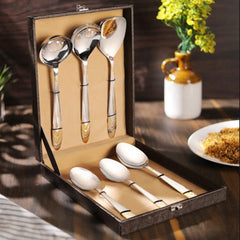 FNS Magna Pro 6-piece gold plated serving spoon set with premium black leatherite box and elegant packaging display.