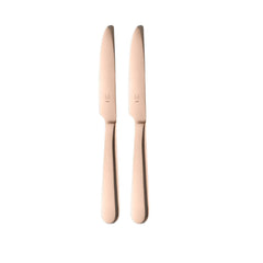 Pair of rose gold stainless steel dinner knives with FnS branding, featuring smooth rounded handles and classic blade design on white.