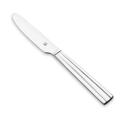 Premium stainless steel dinner knife with mirror-polished finish and sleek tapered handle isolated on clean white background for product display.