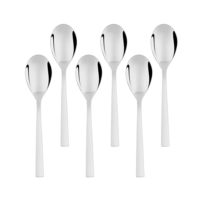 Stainless steel dessert spoon set of 6 pieces with mirror finish and flat handles in two rows on white background