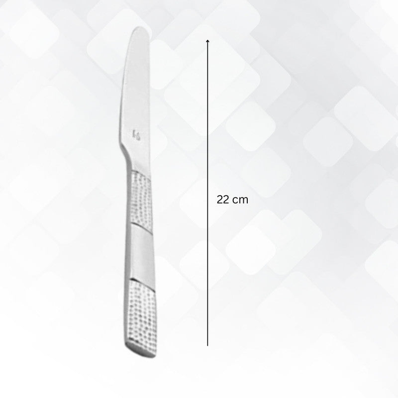 Single silver dinner knife with textured handle displayed in profile view with measurement line indicating total length of 22 centimeters on light quilted background.